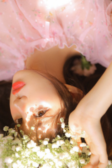 屠夫小姐